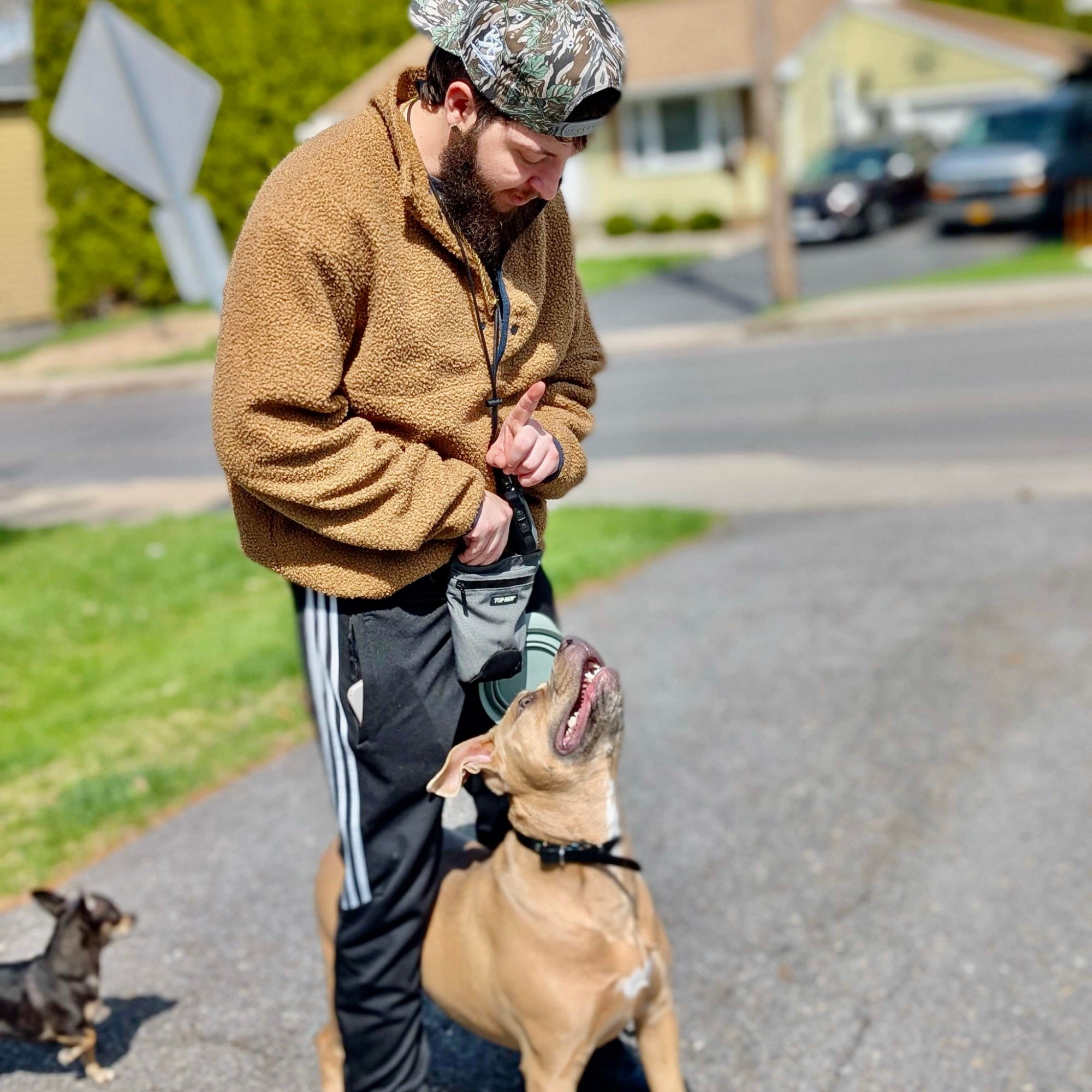 Dylan training dogs in Syracuse, NY